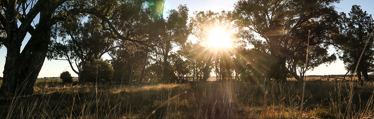 rural-header rural-header
